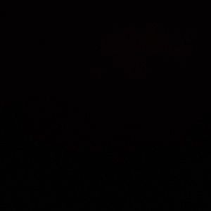 Meet your Posher, Maurilio